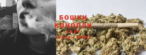стаф Каменногорск