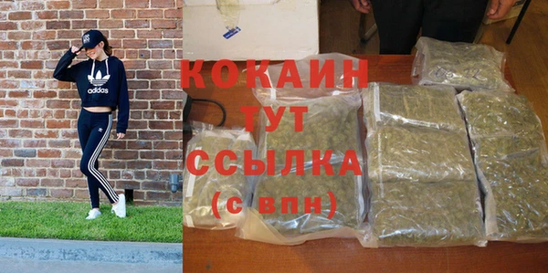 mdpv Каменка