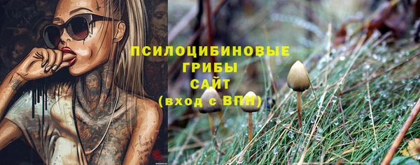 гашик Каменск-Шахтинский