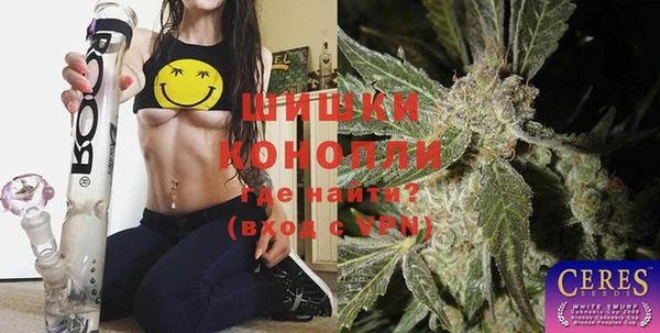 mdpv Каменка
