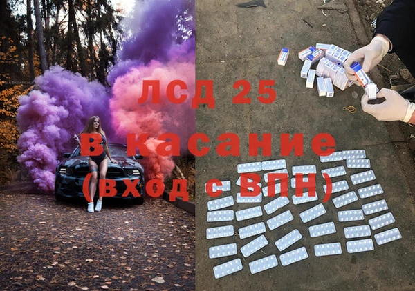 стаф Каменногорск