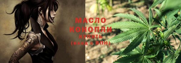 стаф Каменногорск