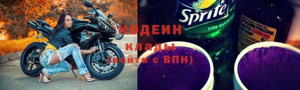 стаф Каменногорск