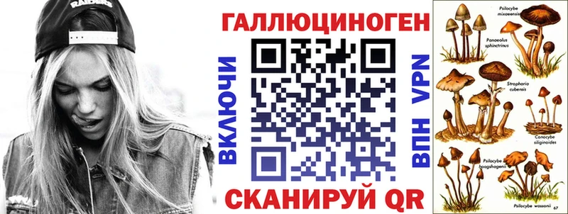 Купить  Нариманов  Галлюциногенные грибы Psilocybine cubensis 